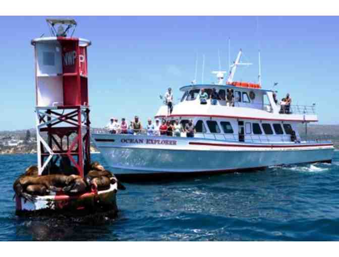 Whale Watching Newport Beach Excursion for Two