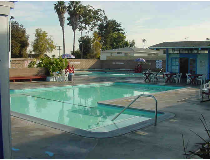 Akai Swim School: $50 Gift Certificate