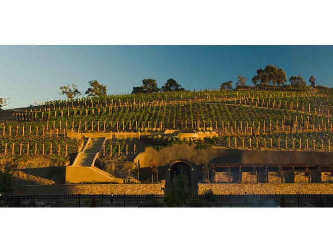 Sip & Soar Through Napa Valley: hot air balloon ride, winery tours & more!