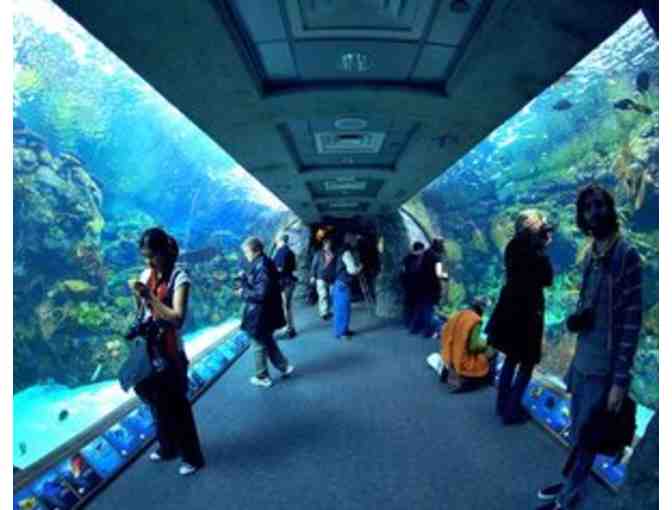 Two Tickets to the Aquarium of the Pacific