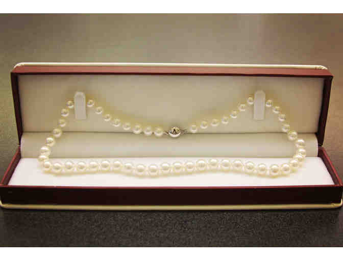 Pearl Necklace
