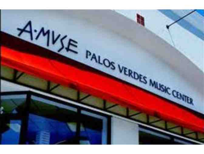 Amuse Music Inc.:piano, guitar, voice, strings, woodwinds, or brass group instructions