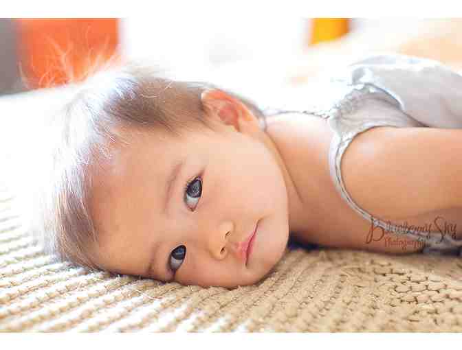 Blueberry Sky Photography: 1hr Session w/High Res. CD w/Digital Images *Starting bid $190