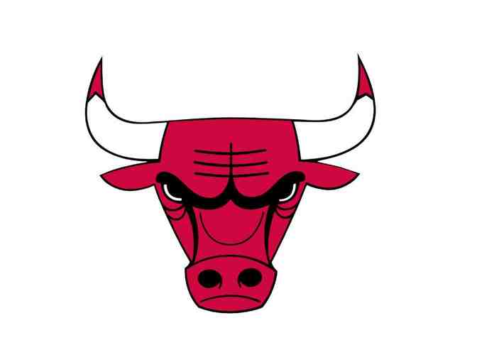 Chicago Bulls 22-23 Season Team Autographed Basketball
