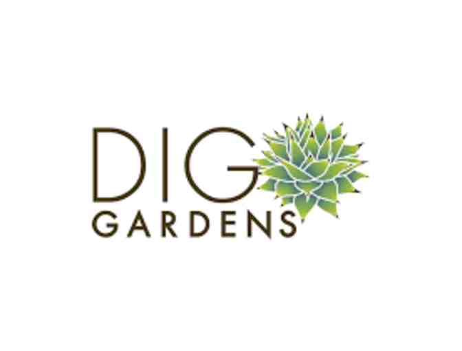 $25 Gift Card to DIG Gardens - Photo 1