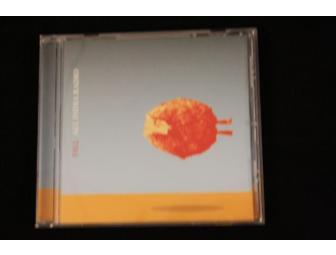 'Fall' by All India Radio