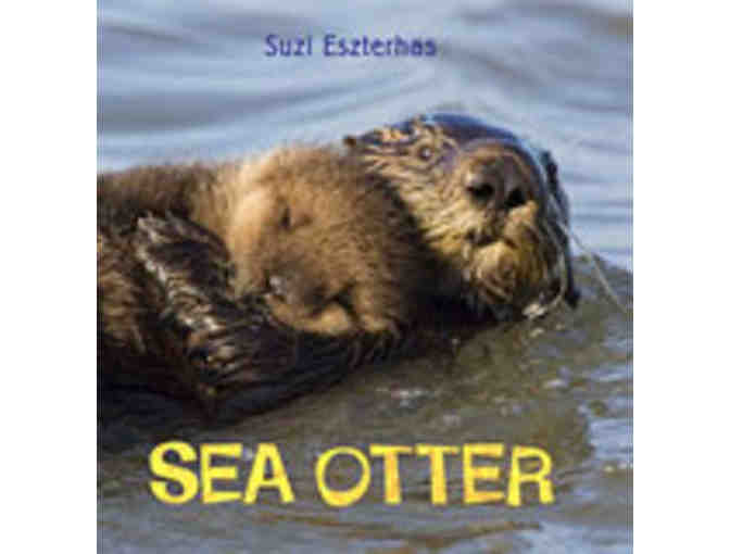 Eye on the Wild Complete Set by Suzi Eszterhas