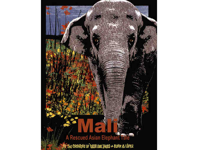 Animal Stories From Around the World by Wise Owl Tales