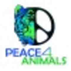 Peace 4 Animals - Katie Cleary