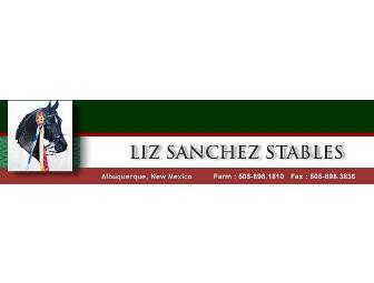 Liz Sanchez Stables Riding Lessons
