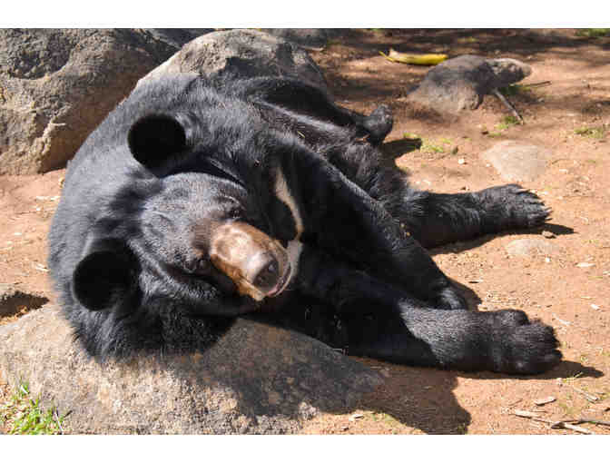 Experience on Water and on Land in San Diego, California for Four Days