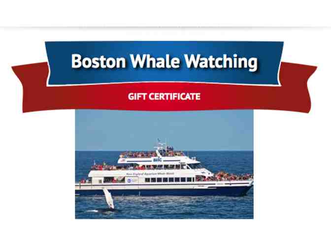 1 Boston Whale Watch Excursion for Two