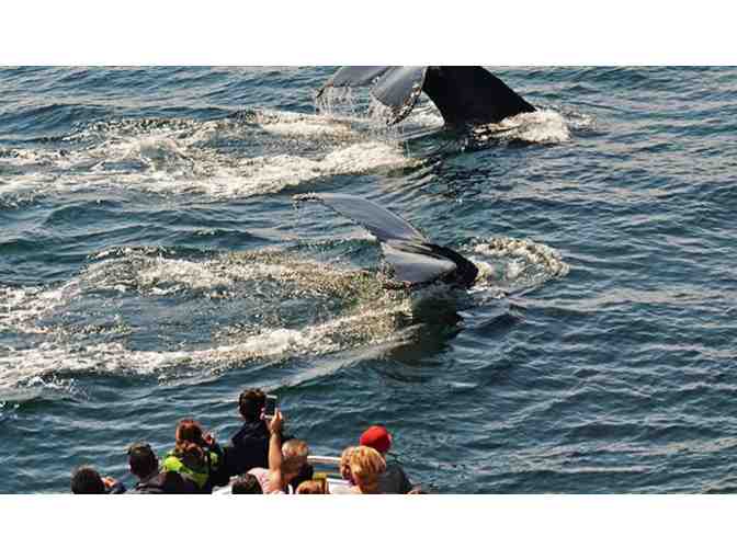 1 Boston Whale Watch Excursion for Two