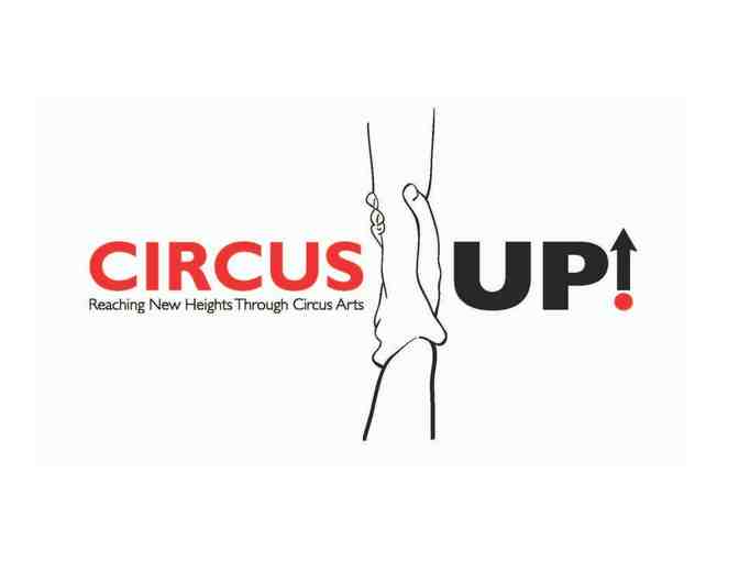 One 60 minute private lesson in Aerial Acrobatics