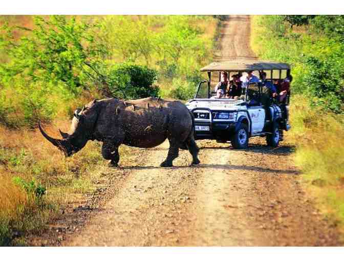 Luxury African Photo Safari for Two - A Once in a Lifetime Trip!