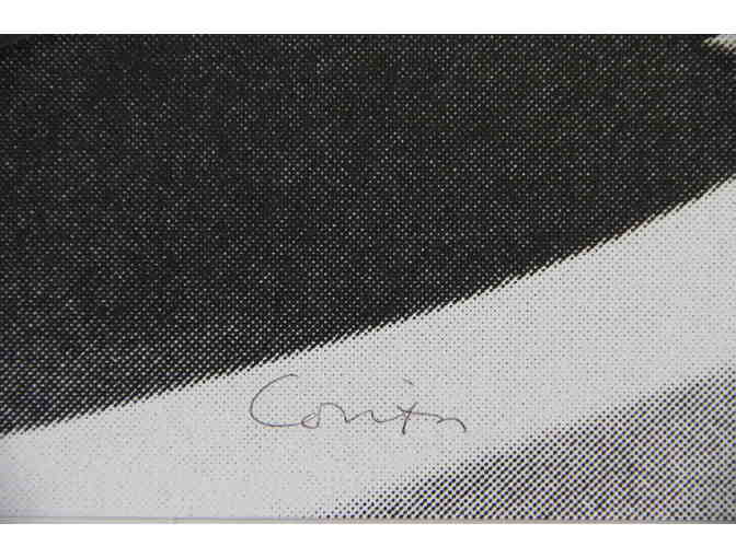 The Dove and the Walrus