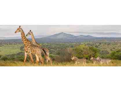 South African Photo Safari for Two - Six Days/Six Nights
