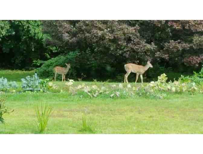 Weekend Stay in Greenfield Bed & Breakfast