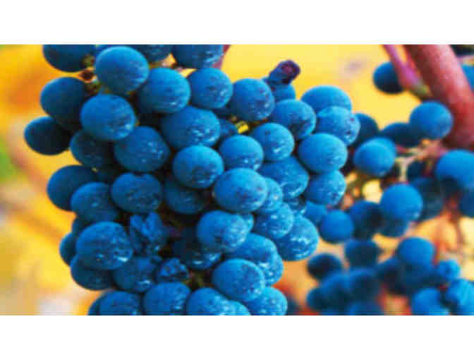 Classic Calistoga Getaway in the Napa Valley - Trip for Two