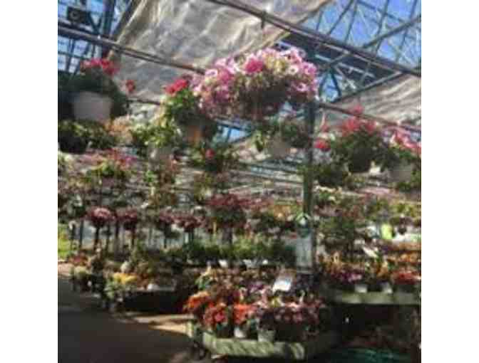 Bread and Roses: When Pigs Fly and Mahoney's Garden Center