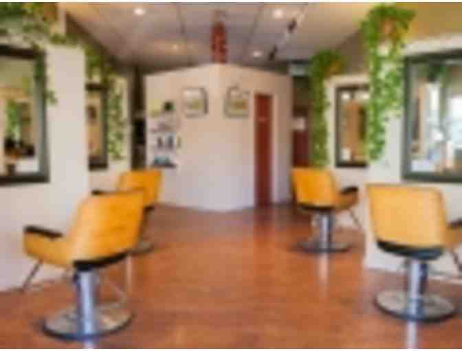 $200 Gift Certificate to Fresh Hair Salon