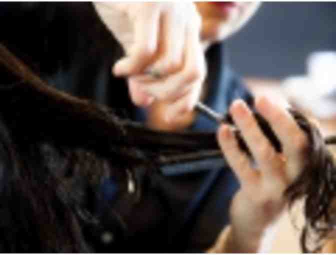 $200 Gift Certificate to Fresh Hair Salon