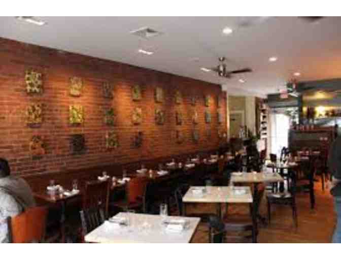 Jamaica Plain Starter Pack