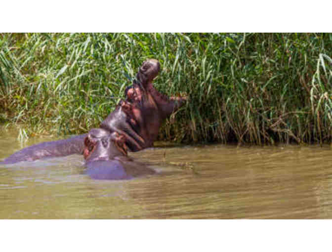 South African Photo Safari for Two - Six Days/Six Nights