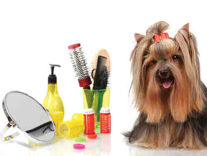 Pet Spas of America One Year of Grooming for One Lucky Pet!