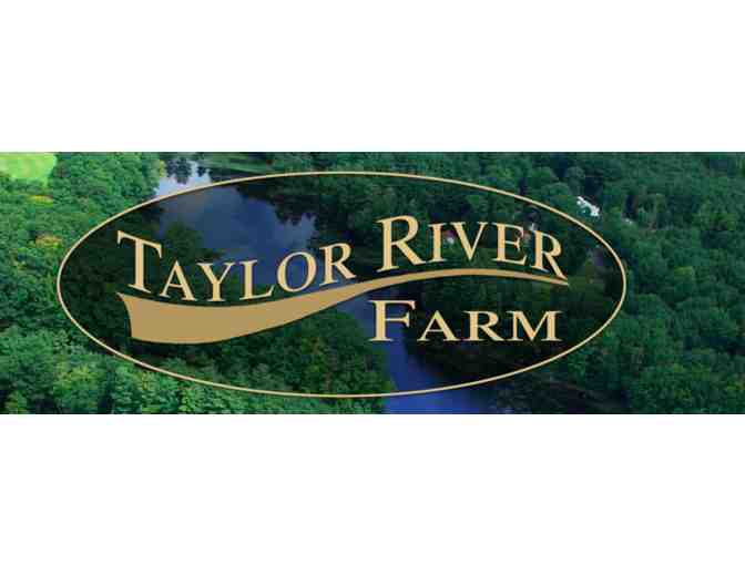Taylor River Farm - Private Horse Riding Lesson