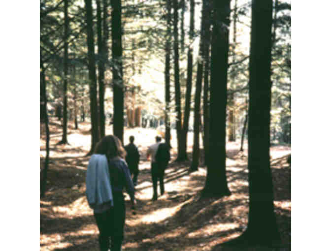 Picnic with Mr. Hawes