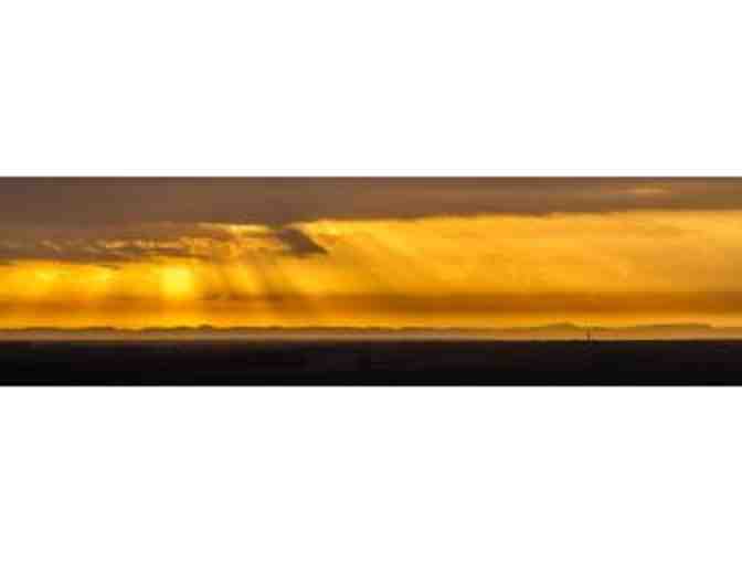 Luxury South African Photo Safari for Two, with the ability to add more.