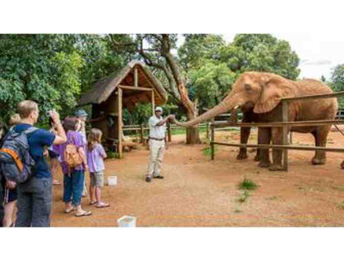 Luxury South African Photo Safari for Two, with the ability to add more.