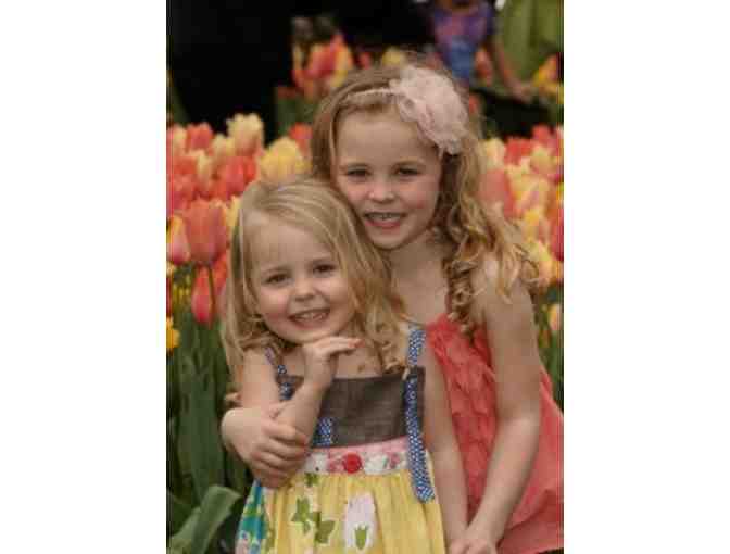 Robin Jackson Photography - Family Portrait Package