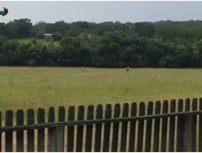 Girls Antiquing Trip to Round Top, Texas
