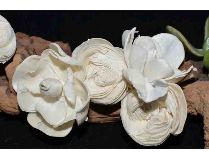 Preppy and Chic - Driftwood and Succulent Centerpiece