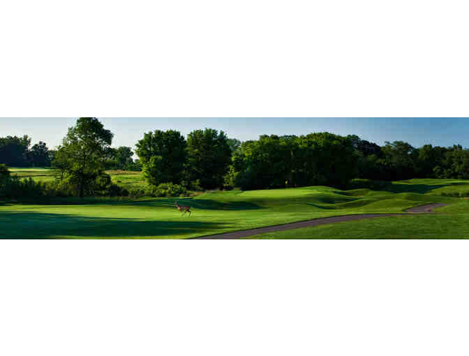 Two - 18 Hole Rounds of Golf at any of Fox Hills' 3 courses in Plymouth, MI