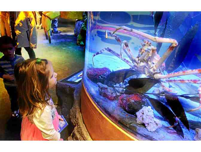2 Tickets to Sea Life Michigan Aquarium in Auburn Hills, MI