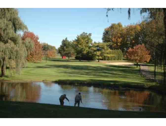 Four 9-Hole Rounds of Golf & 2 Carts at any Livonia Golf Course