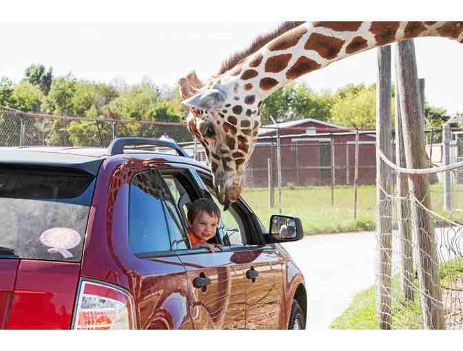 Six-Person V.I.P. Pass to African Safari Wildlife Park in Port Clinton, OH