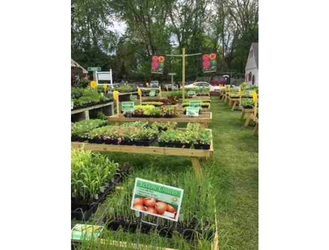 $200 Gift Card to George's Livonia Gardens in Livonia, MI