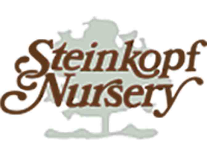 $50 Gift Certificate to Steinkopf Nursery in Farmington Hills, MI