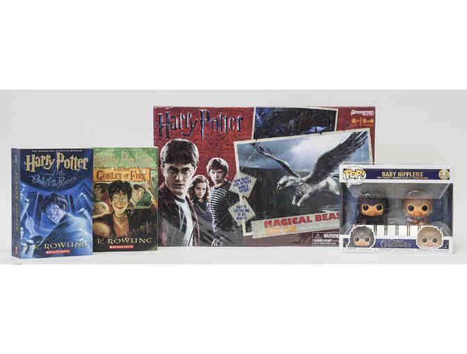 Harry Potter and Fantastic Beasts Package
