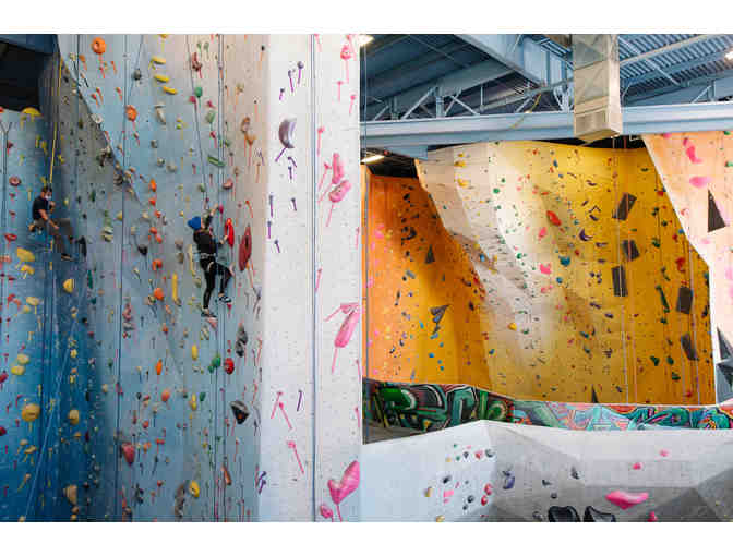 Planet Rock Starter Package - 1 Adult & 1 Child