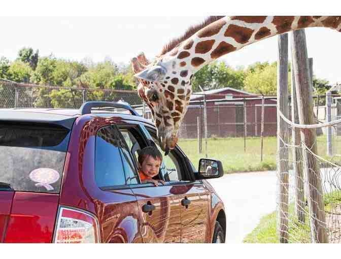 VIP Pass for 6 to African Safari Wildlife Park - Port Clinton, OH