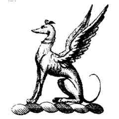 Feathered Gems Jewelry