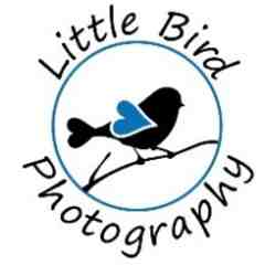 Little Bird Photography