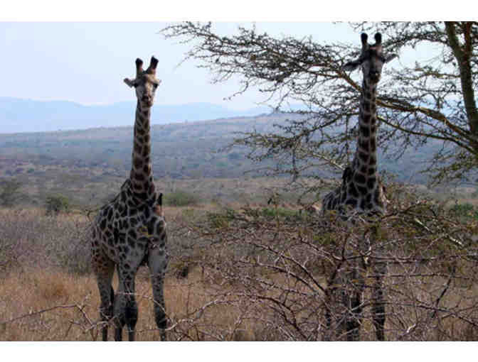 Luxurious, one-week South African photo safari for two