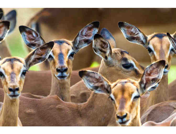 Luxurious, one-week South African photo safari for two