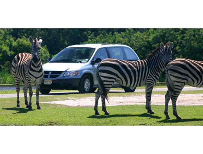 Two admission passes for Lion Country Safari PLUS complimentary parking
